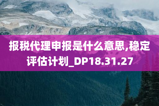 报税代理申报是什么意思,稳定评估计划_DP18.31.27