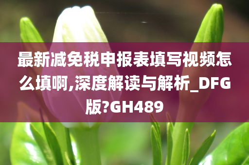 最新减免税申报表填写视频怎么填啊,深度解读与解析_DFG版?GH489