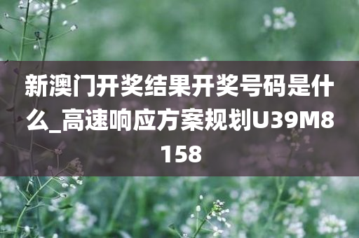 新澳门开奖结果开奖号码是什么_高速响应方案规划U39M8158