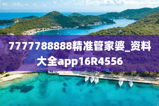 7777788888精准管家婆_资料大全app16R4556