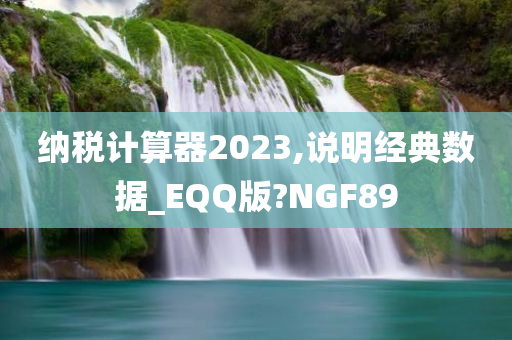 纳税计算器2023,说明经典数据_EQQ版?NGF89