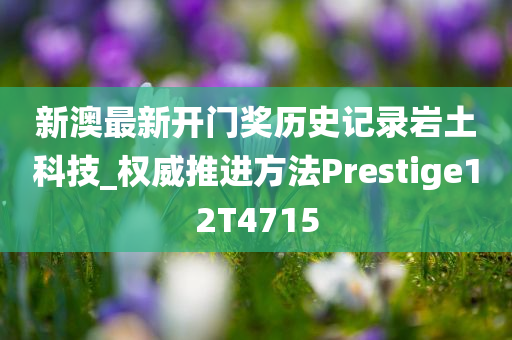 新澳最新开门奖历史记录岩土科技_权威推进方法Prestige12T4715