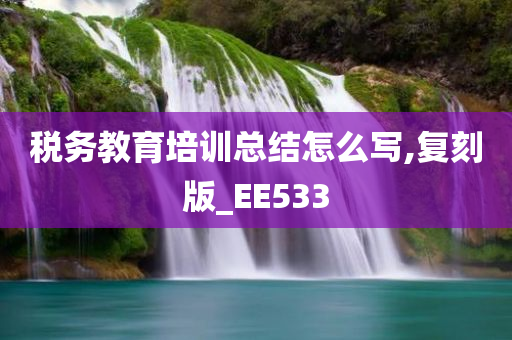 税务教育培训总结怎么写,复刻版_EE533