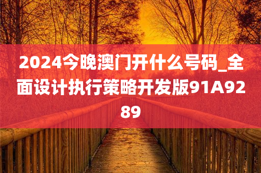 2024今晚澳门开什么号码_全面设计执行策略开发版91A9289