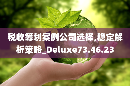 税收筹划案例公司选择,稳定解析策略_Deluxe73.46.23