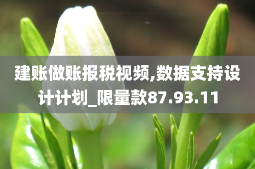 建账做账报税视频,数据支持设计计划_限量款87.93.11