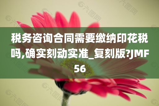 税务咨询合同需要缴纳印花税吗,确实刻动实准_复刻版?JMF56