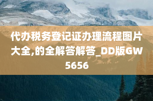 代办税务登记证办理流程图片大全,的全解答解答_DD版GW5656