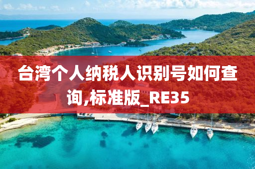 台湾个人纳税人识别号如何查询,标准版_RE35