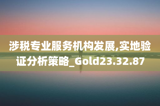 涉税专业服务机构发展,实地验证分析策略_Gold23.32.87