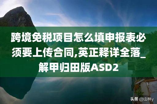 跨境免税项目怎么填申报表必须要上传合同,英正释详全落_解甲归田版ASD2