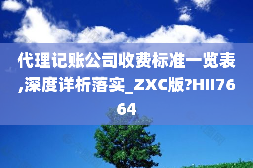 代理记账公司收费标准一览表,深度详析落实_ZXC版?HII7664