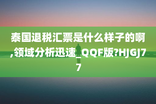 泰国退税汇票是什么样子的啊,领域分析迅速_QQF版?HJGJ77