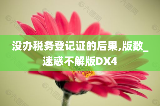 没办税务登记证的后果,版数_迷惑不解版DX4