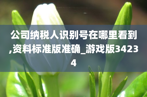 公司纳税人识别号在哪里看到,资料标准版准确_游戏版34234