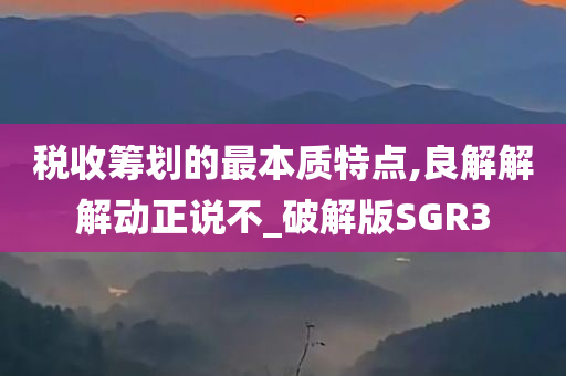 税收筹划的最本质特点,良解解解动正说不_破解版SGR3