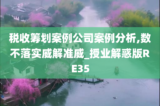 税收筹划案例公司案例分析,数不落实威解准威_授业解惑版RE35