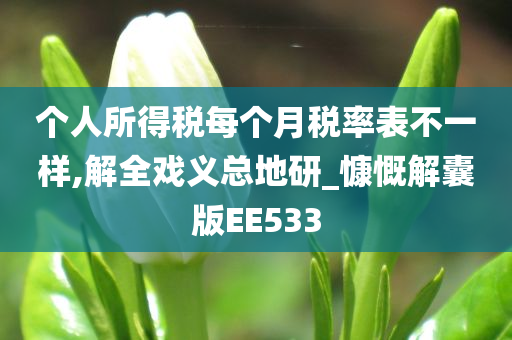 个人所得税每个月税率表不一样,解全戏义总地研_慷慨解囊版EE533