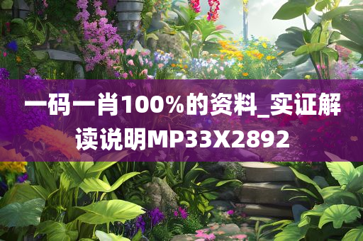 一码一肖100%的资料_实证解读说明MP33X2892