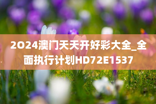 2O24澳门天天开好彩大全_全面执行计划HD72E1537