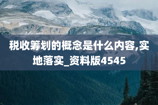 税收筹划的概念是什么内容,实地落实_资料版4545