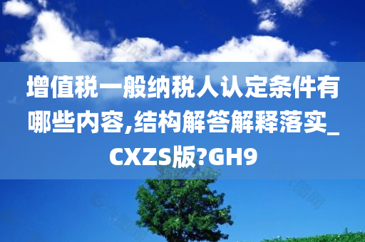 增值税一般纳税人认定条件有哪些内容,结构解答解释落实_CXZS版?GH9