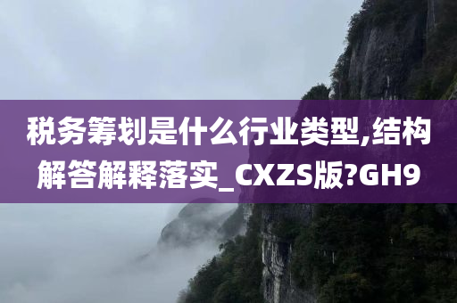 税务筹划是什么行业类型,结构解答解释落实_CXZS版?GH9