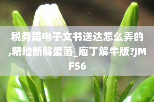 税务局电子文书送达怎么弄的,精地新解最落_庖丁解牛版?JMF56