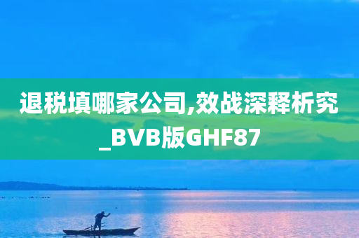 退税填哪家公司,效战深释析究_BVB版GHF87