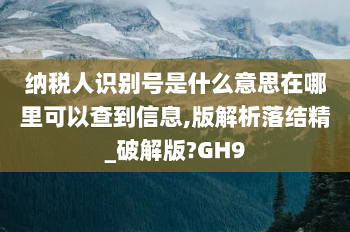 纳税人识别号是什么意思在哪里可以查到信息,版解析落结精_破解版?GH9