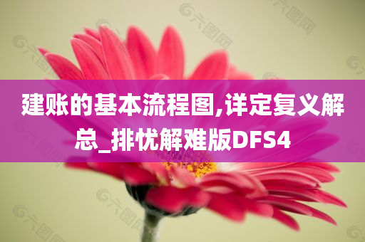 建账的基本流程图,详定复义解总_排忧解难版DFS4