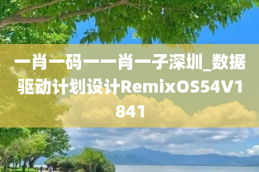 一肖一码一一肖一子深圳_数据驱动计划设计RemixOS54V1841