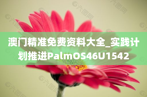 澳门精准免费资料大全_实践计划推进PalmOS46U1542