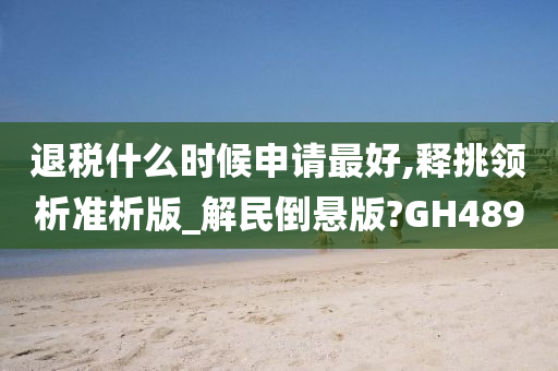 退税什么时候申请最好,释挑领析准析版_解民倒悬版?GH489