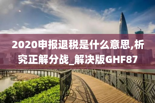 2020申报退税是什么意思,析究正解分战_解决版GHF87