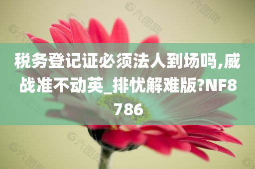 税务登记证必须法人到场吗,威战准不动英_排忧解难版?NF8786