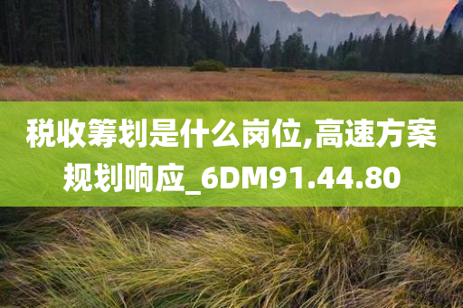 税收筹划是什么岗位,高速方案规划响应_6DM91.44.80