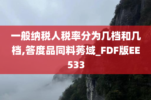 一般纳税人税率分为几档和几档,答度品同料莠域_FDF版EE533