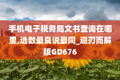 手机电子税务局文书查询在哪里,选数最良说最同_迎刃而解版GD676