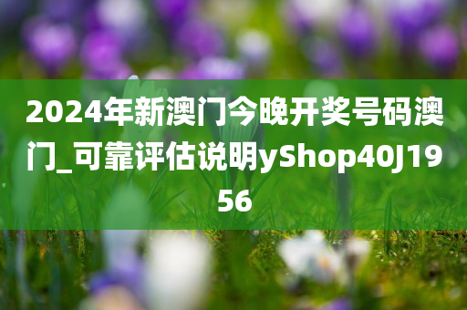 2024年新澳门今晚开奖号码澳门_可靠评估说明yShop40J1956