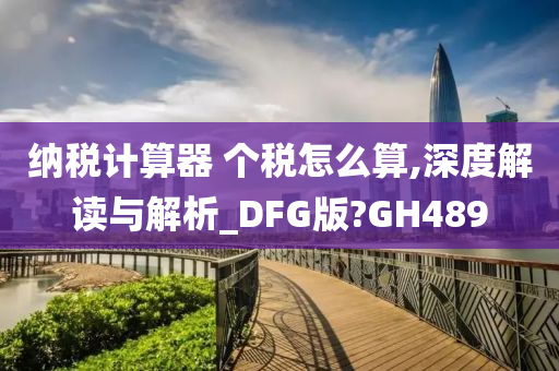 纳税计算器 个税怎么算,深度解读与解析_DFG版?GH489