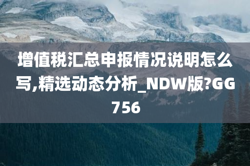 增值税汇总申报情况说明怎么写,精选动态分析_NDW版?GG756