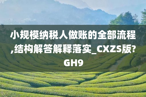 小规模纳税人做账的全部流程,结构解答解释落实_CXZS版?GH9