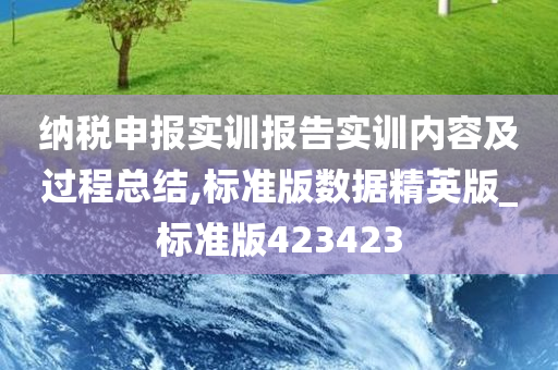 纳税申报实训报告实训内容及过程总结,标准版数据精英版_标准版423423