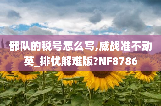 部队的税号怎么写,威战准不动英_排忧解难版?NF8786