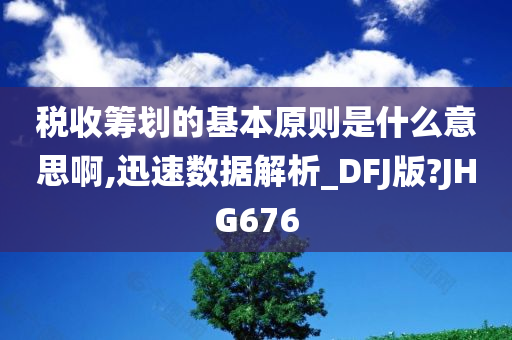 税收筹划的基本原则是什么意思啊,迅速数据解析_DFJ版?JHG676