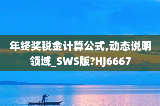 年终奖税金计算公式,动态说明领域_SWS版?HJ6667