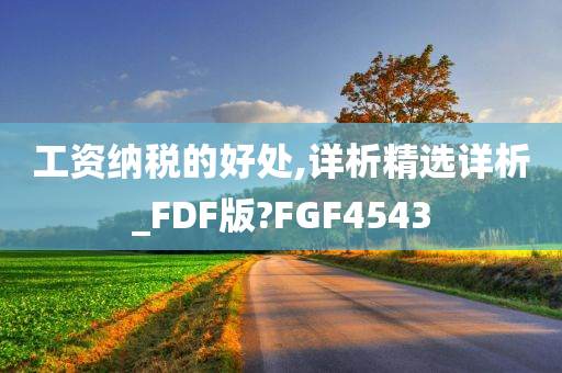 工资纳税的好处,详析精选详析_FDF版?FGF4543