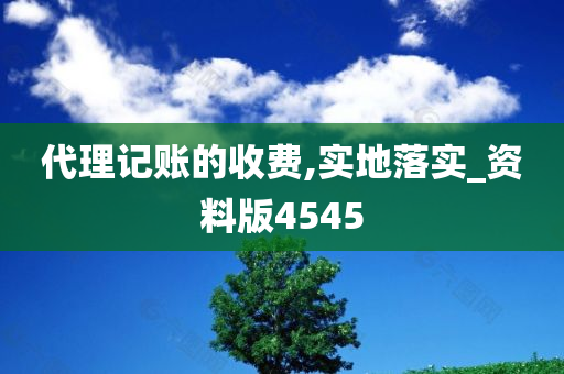 代理记账的收费,实地落实_资料版4545