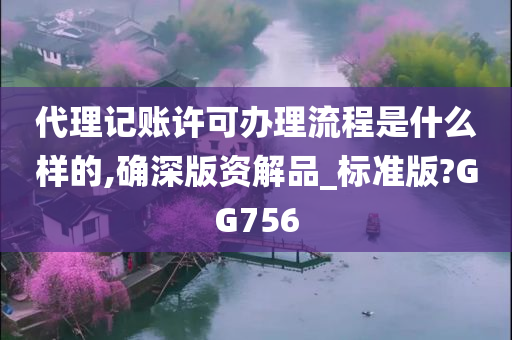 代理记账许可办理流程是什么样的,确深版资解品_标准版?GG756